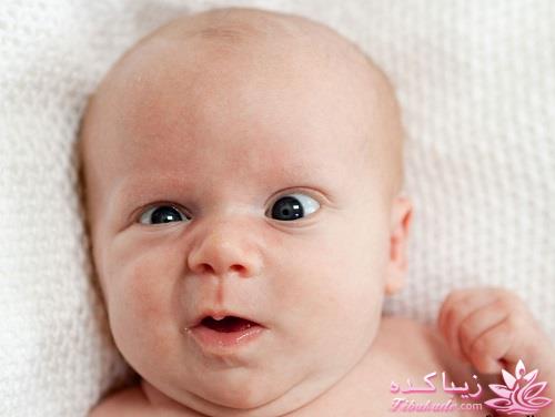 من شما را به چالش دعوت میکنم!